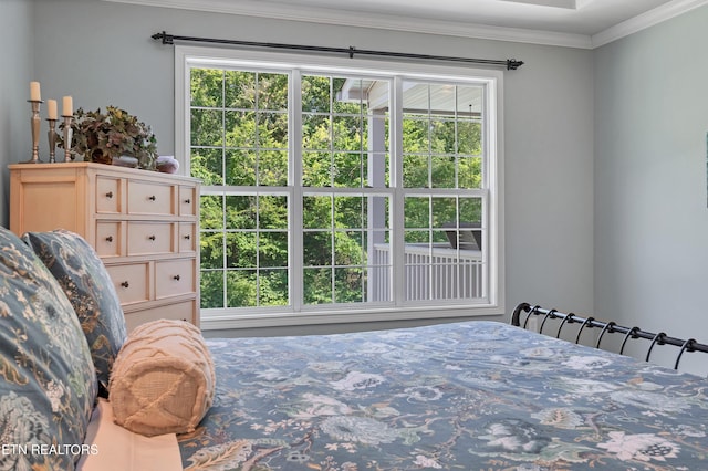 10009 Casa Real Cv, Knoxville, TN 37922 - photo 26