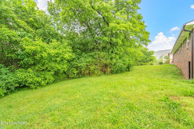 7220 Beelertown Rd, Powell, TN 37849 - view of grassy yard