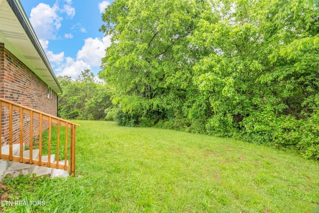7220 Beelertown Rd, Powell, TN 37849 - view of grassy yard