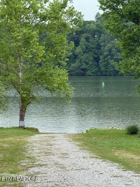 207 Shady Shore Ln, Kingston, TN 37763