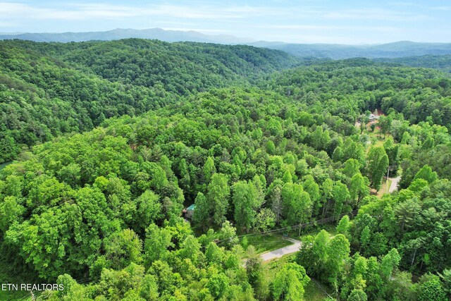 aerial view of a forest and a mountainous background