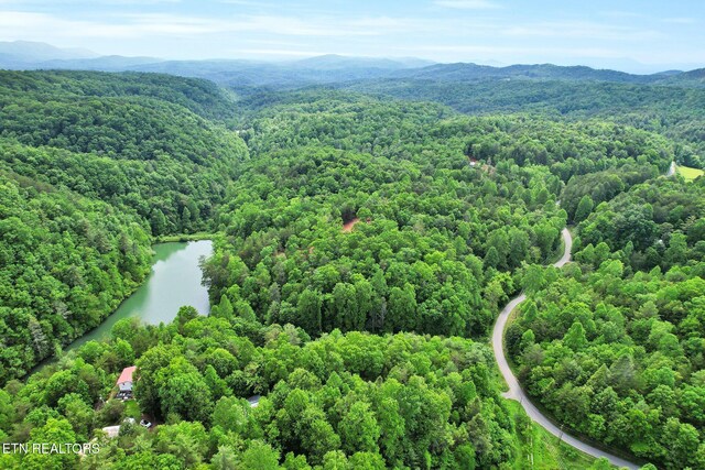 bird's eye view of a forest and a water and mountain view