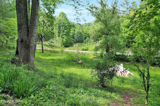 view of wooded area