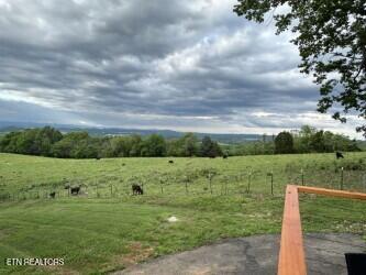 view of yard with a rural view