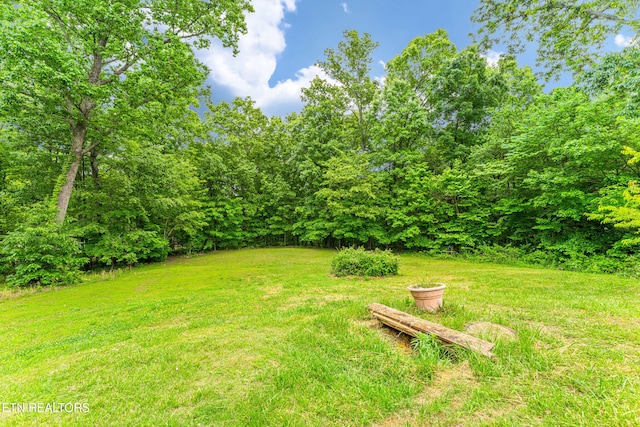 7726 Misty Point Way, Knoxville, TN 37914 - view of green lawn