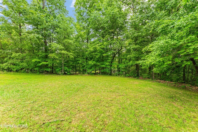 7726 Misty Point Way, Knoxville, TN 37914 - view of green lawn