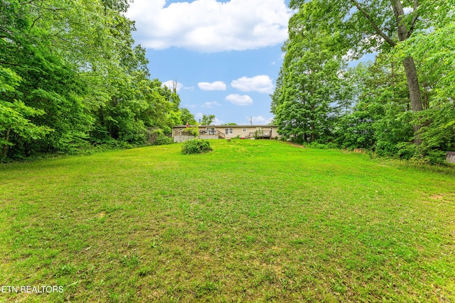 7726 Misty Point Way, Knoxville, TN 37914 - view of green lawn