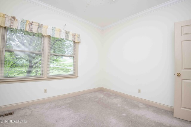 103 Farmington Pl, Clinton, TN 37716 - photo 29