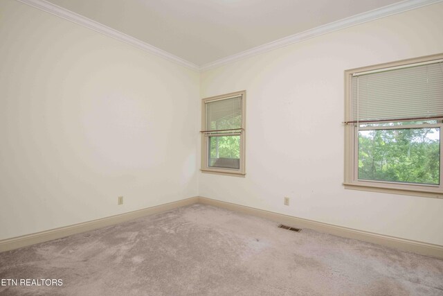 103 Farmington Pl, Clinton, TN 37716 - photo 32