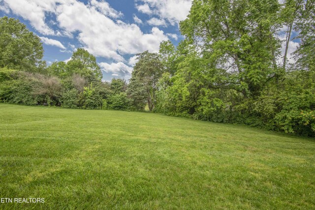 103 Farmington Pl, Clinton, TN 37716 - photo 48