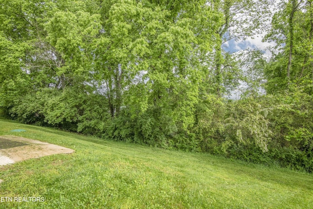 103 Farmington Pl, Clinton, TN 37716 - photo 49