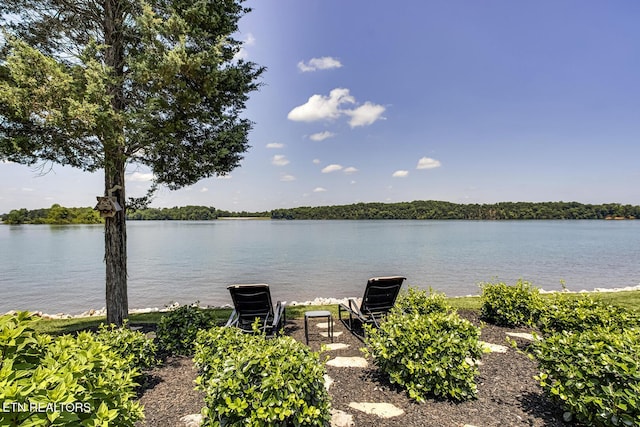 180 Edgewater Way, Lenoir City, TN 37772 - water view