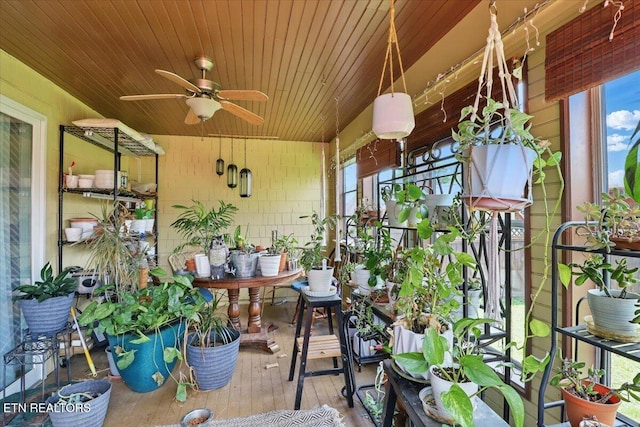 523 N 30th St, Middlesboro, KY 40965 - view of sunroom