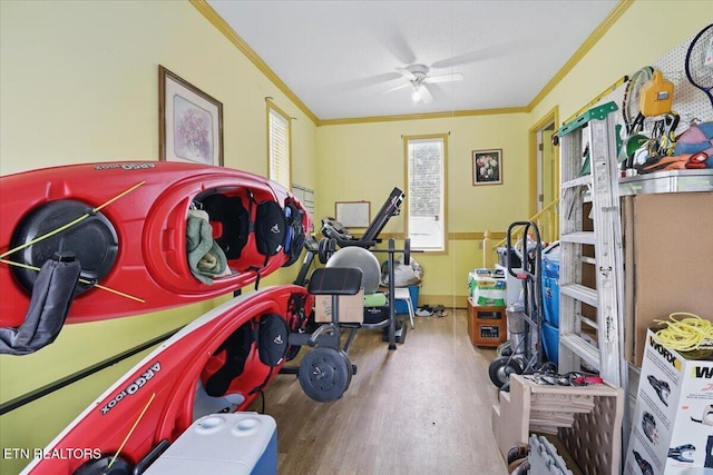 523 N 30th St, Middlesboro, KY 40965 - rec room featuring crown molding, wood finished floors, and ceiling fan