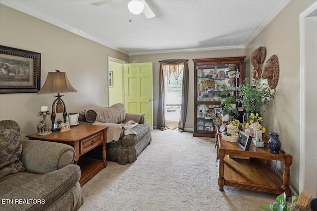 523 N 30th St, Middlesboro, KY 40965 - carpeted living room with ceiling fan and ornamental molding