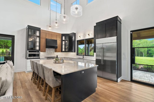 kitchen featuring glass insert cabinets, light wood-style flooring, a high ceiling, stainless steel appliances, and under cabinet range hood