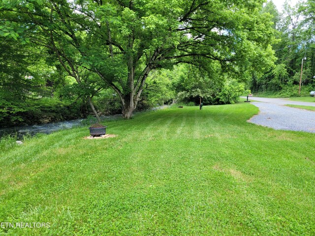 1026 Blue Mill Rd, Del Rio, TN 37727 - view of yard