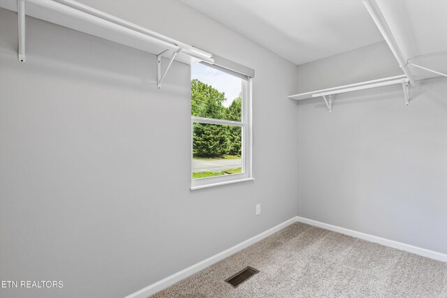 10212 Birch Hill Ln, Knoxville, TN 37932 - spacious closet with carpet floors
