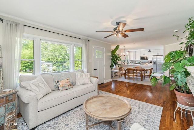 living area featuring crown molding, ceiling fan with notable chandelier, baseboards, and wood finished floors