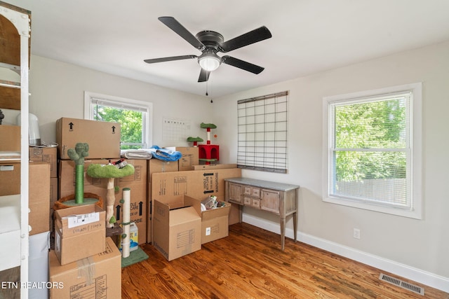 storage room featuring a ceiling fan and visible vents