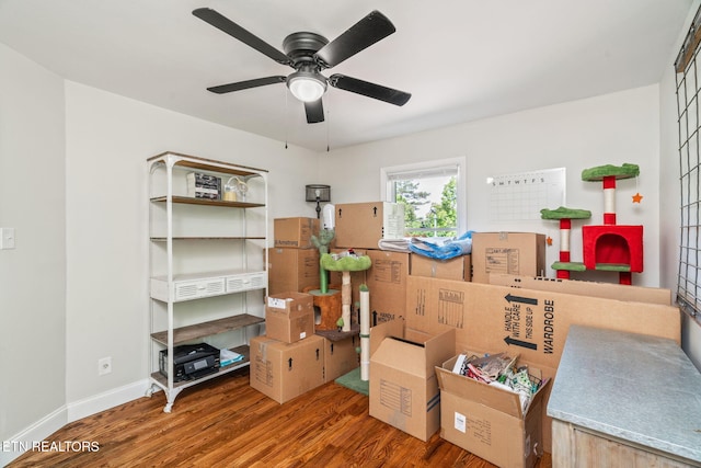storage area featuring ceiling fan
