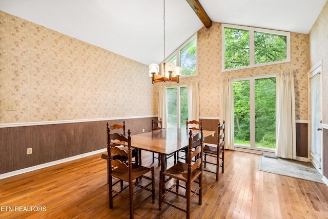 131 Clifton Cir, Oak Ridge, TN 37830 - dining area featuring wainscoting, a chandelier, hardwood / wood-style flooring, and wallpapered walls