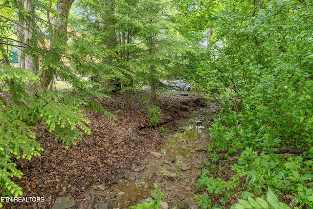 131 Clifton Cir, Oak Ridge, TN 37830 - view of nature