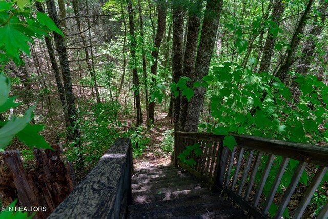 LOT34W Long Rifle Rd, Walland, TN 37886 - photo 15