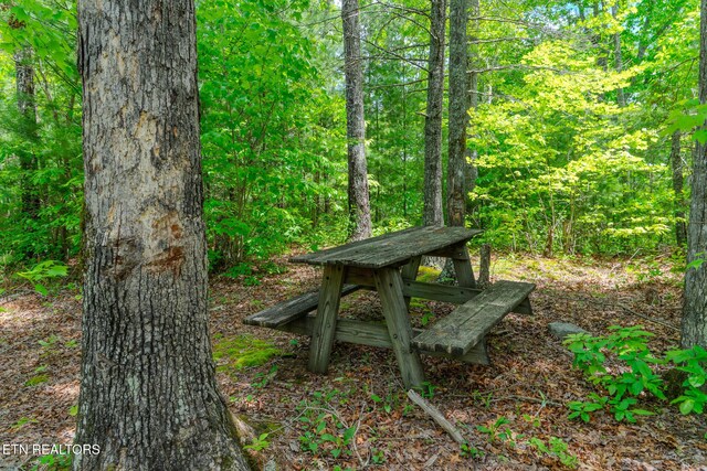 LOT34W Long Rifle Rd, Walland, TN 37886 - photo 14