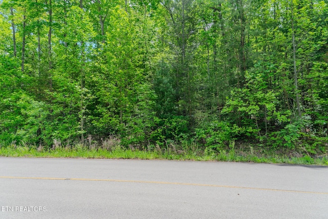 LOT34W Long Rifle Rd, Walland, TN 37886 - photo 1