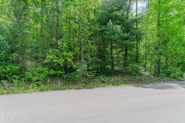 LOT34W Long Rifle Rd, Walland, TN 37886 - photo 2