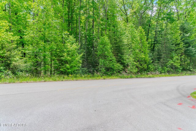LOT34W Long Rifle Rd, Walland, TN 37886 - photo 3