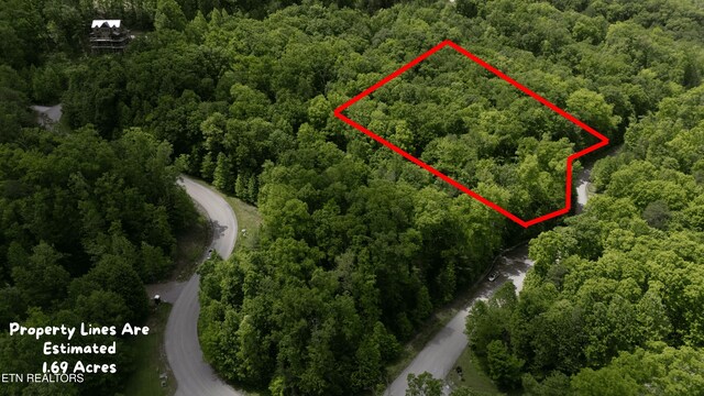 LOT34W Long Rifle Rd, Walland, TN 37886 - photo 6
