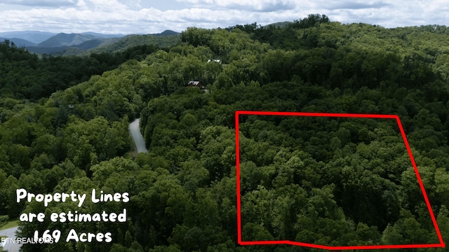 LOT34W Long Rifle Rd, Walland, TN 37886 - photo 5
