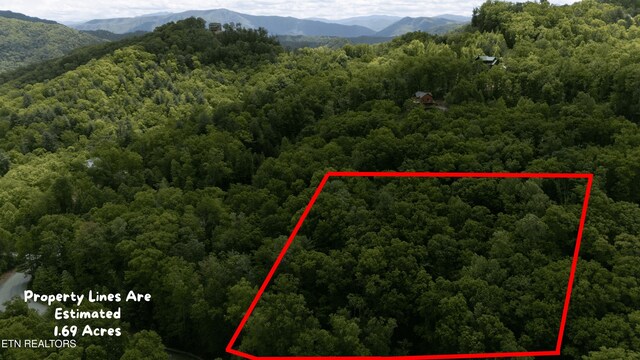 LOT34W Long Rifle Rd, Walland, TN 37886 - photo 4