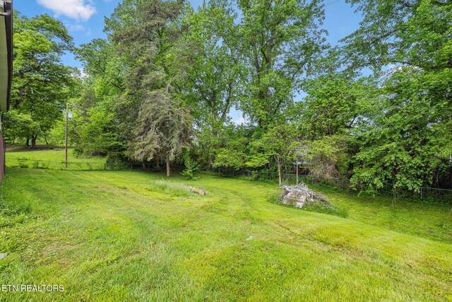 138 Lilac Dr, Lafollette, TN 37766 - view of yard