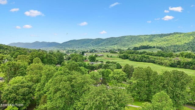 138 Lilac Dr, Lafollette, TN 37766 - view of mountain background with a heavily wooded area