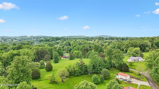 138 Lilac Dr, Lafollette, TN 37766 - aerial view of a forest
