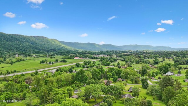 138 Lilac Dr, Lafollette, TN 37766 - bird's eye view of a mountainous background