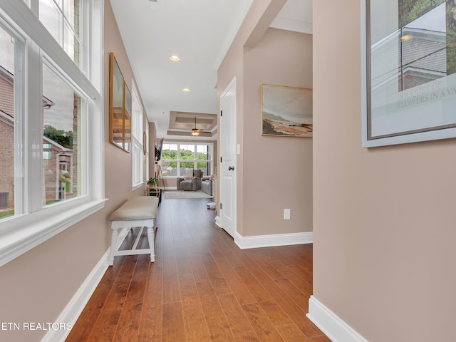 11842 Gecko Dr, Knoxville, TN 37932 - hallway with baseboards, wood finished floors, ornamental molding, and recessed lighting