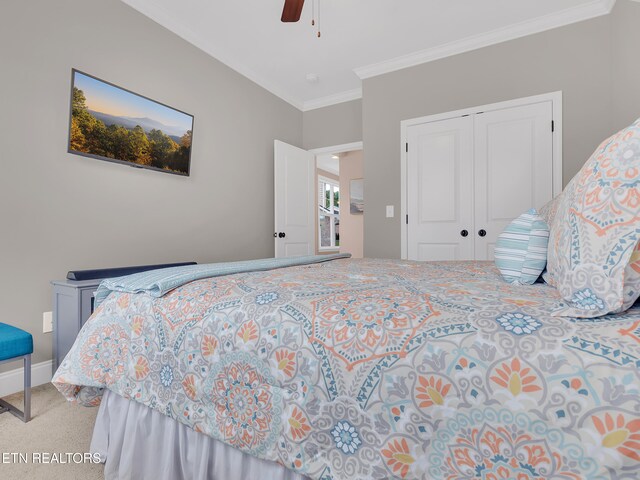 11842 Gecko Dr, Knoxville, TN 37932 - carpeted bedroom featuring crown molding, a closet, and ceiling fan