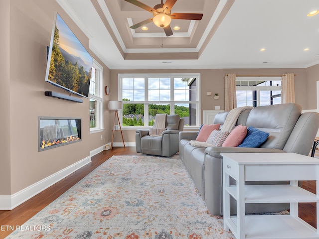 11842 Gecko Dr, Knoxville, TN 37932 - living room with ornamental molding, wood finished floors, ceiling fan, recessed lighting, and a tray ceiling