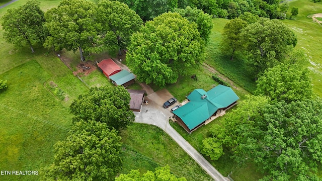 bird's eye view