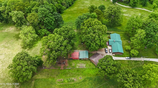 bird's eye view