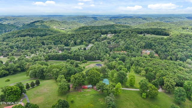 bird's eye view of a heavily wooded area