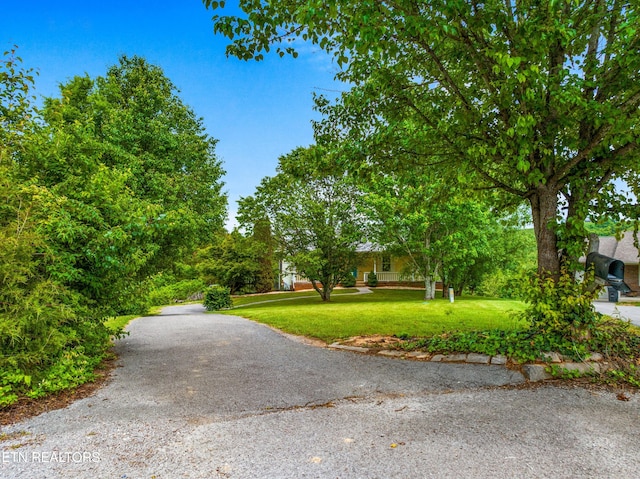 182 Makalley Ln, Tazewell, TN 37879 - photo 44