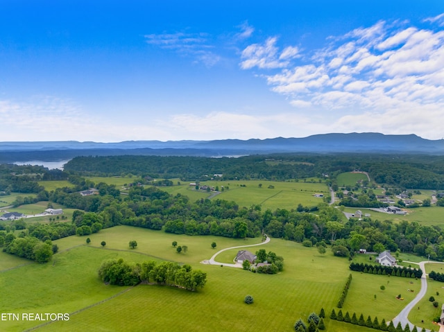 687 Burchfield Rd, Dandridge, TN 37725 - overview of rural landscape with a mountain backdrop and a tree filled landscape
