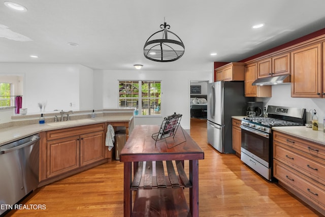 687 Burchfield Rd, Dandridge, TN 37725 - kitchen with stainless steel appliances, a sink, plenty of natural light, light wood-style flooring, and recessed lighting