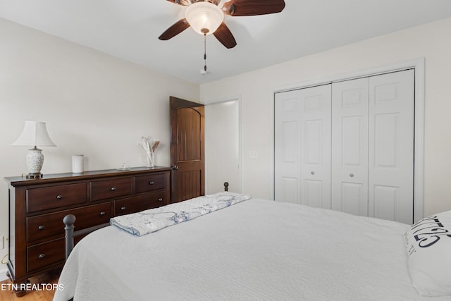 687 Burchfield Rd, Dandridge, TN 37725 - bedroom with a closet, ceiling fan, and wood finished floors
