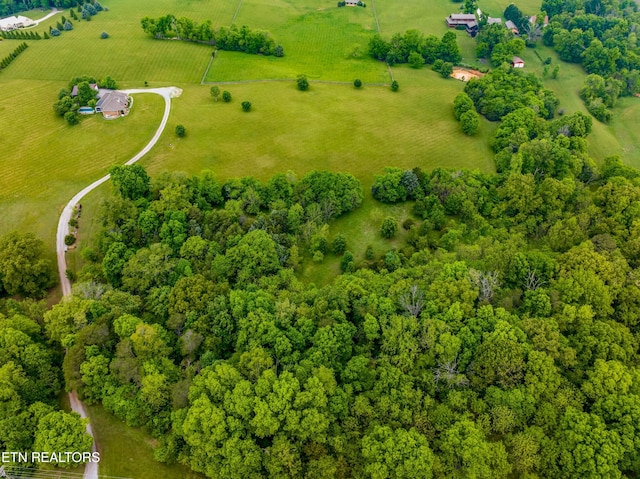 687 Burchfield Rd, Dandridge, TN 37725 - overview of rural landscape